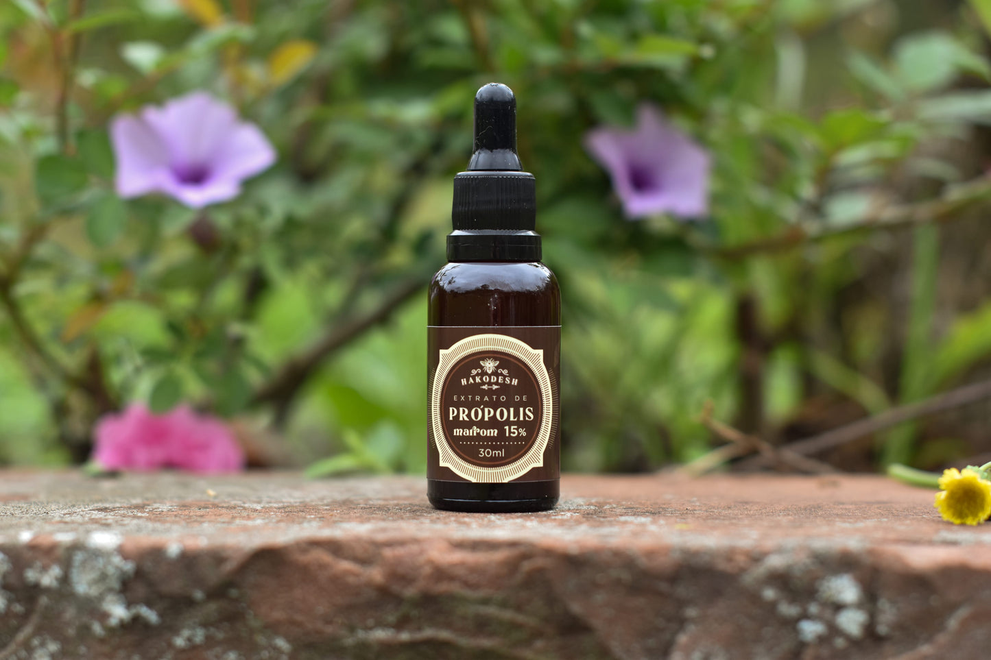 PRÓPOLIS MARROM 15% - 30ML