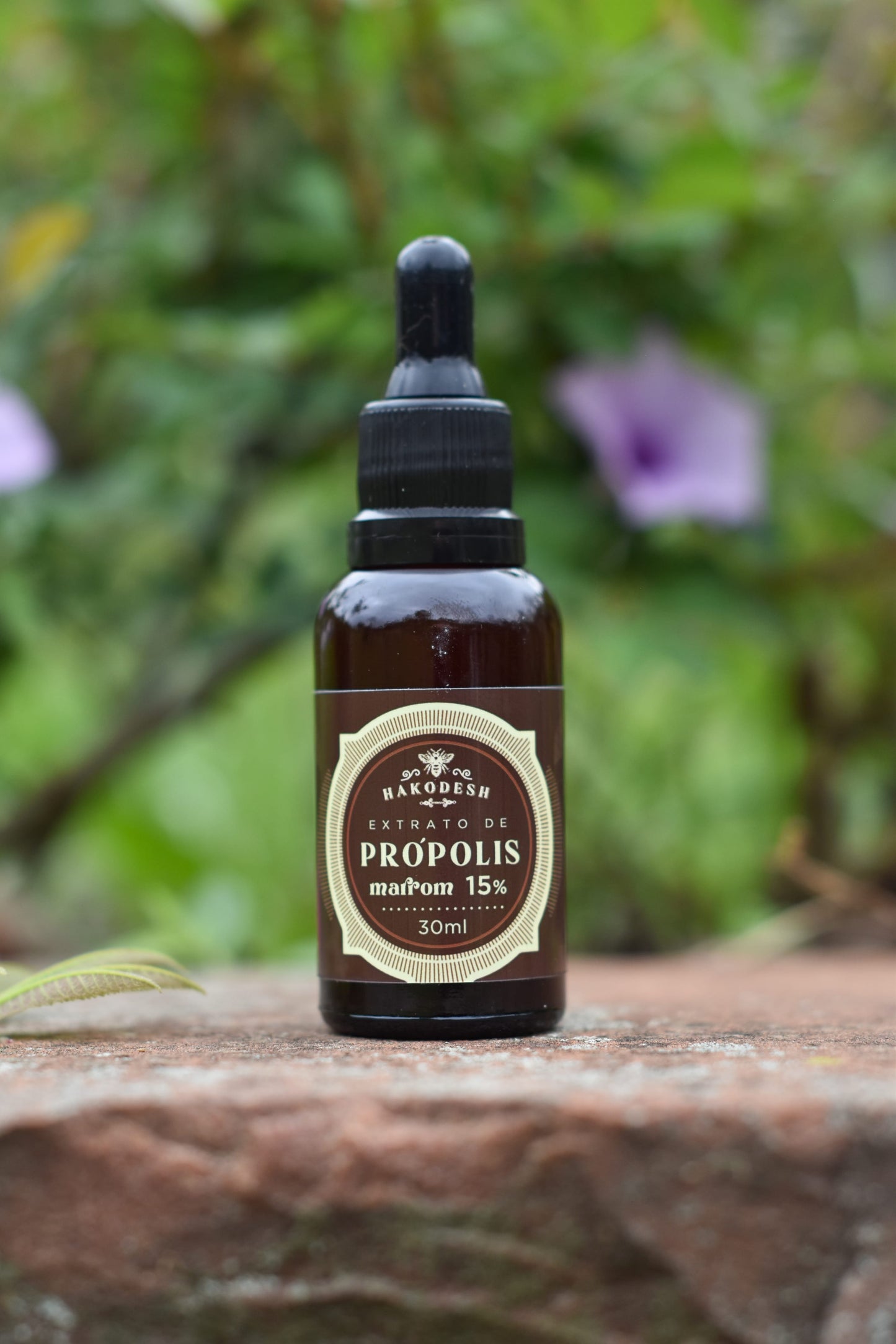 PRÓPOLIS MARROM 15% - 30ML